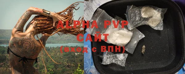 крисы Алзамай