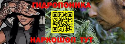 jwh Берёзовский