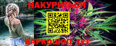 шишки Бийск