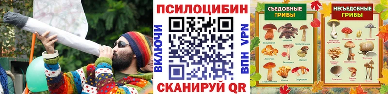 Галлюциногенные грибы MAGIC MUSHROOMS  Каменск-Уральский 