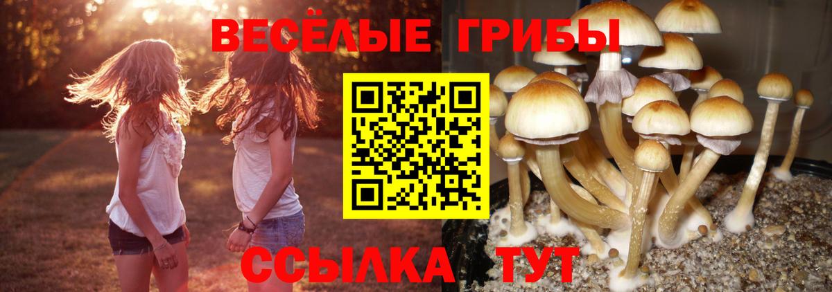 Каменск-Уральский  Псилоцибиновые грибы мицелий  Вход с VPN 